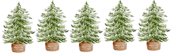 Kerstboom.png