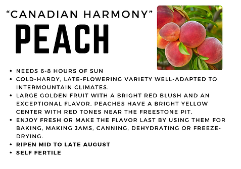 Canadian Harmony.png