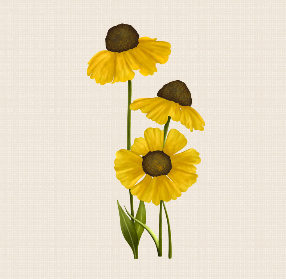 Sunflowers_edited_edited