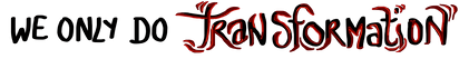 transfoSans titre-5.png