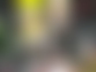 ¡¡OJO!! ¡¡OFERTÓN!! Sólo hay 100 unidades (oferta válida hasta el 1 junio)