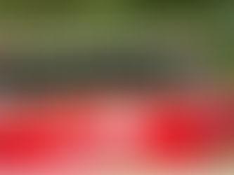 Euskal Sagardoa triplica la cantidad de litros sidra