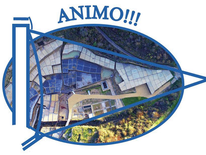 Original diseño del Valle Salado de Añana en apoyo al Deportivo Alavés