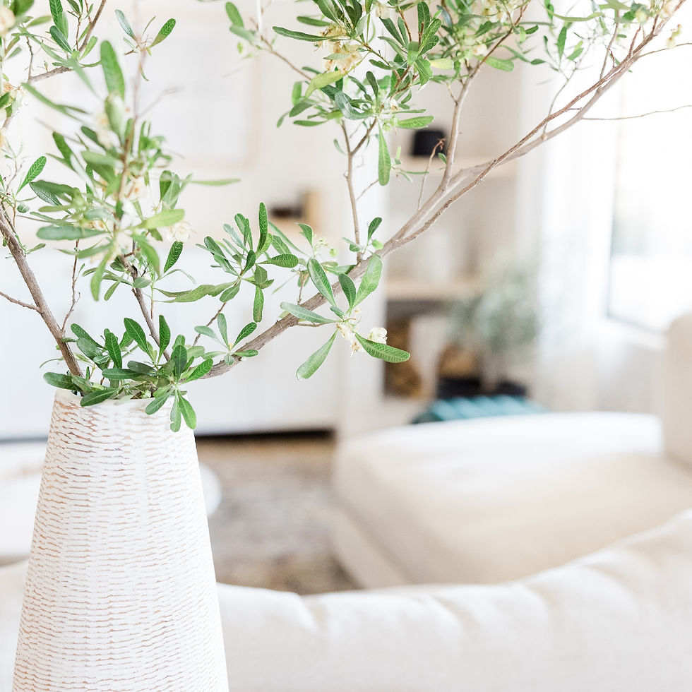 Decor & Accessories