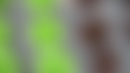 What are we picking?