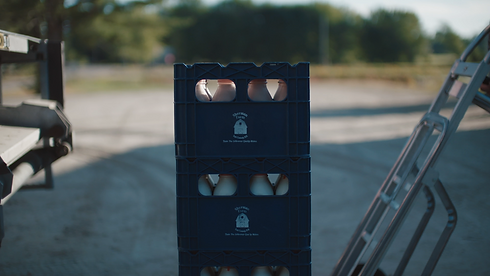 Sherman Farm - Milk