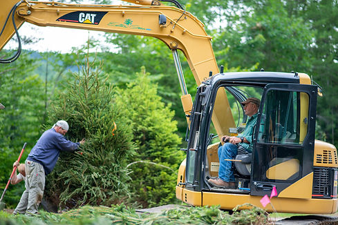 Eastern Green Landscape Construction