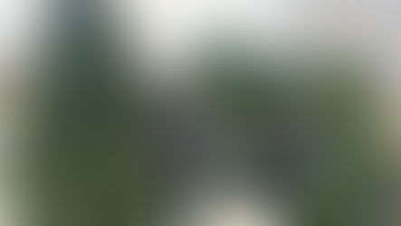 Jeff's Farm Update: What can I say?