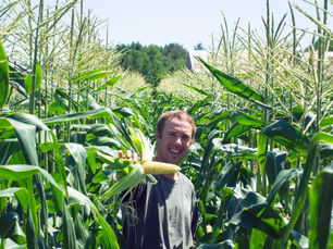 Kyle's Farm Update: Corn news and more