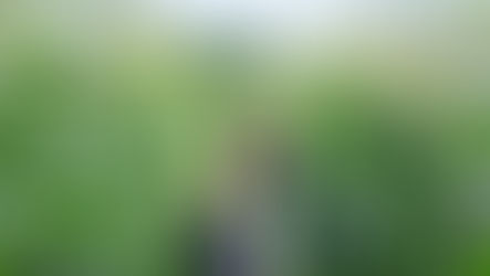 Kyle's Farm Update: Corn news and more