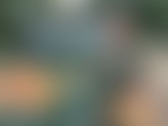 John's Farm Update: A lot has been happening