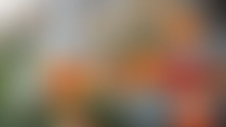 Kyle's Farm Update: It's looking like fall