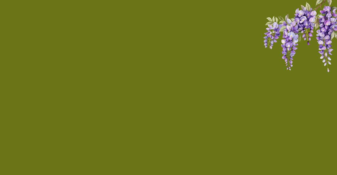 ef (14).png