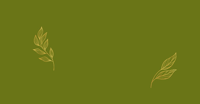 Untitled design (1).png