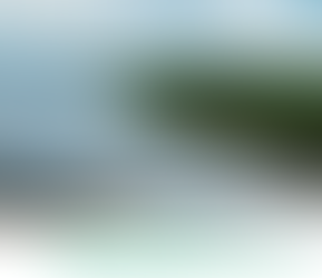 Environmental impact bonds to restore the coast faster and for less money