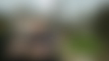 Coastal hazard zones generating insurance problems