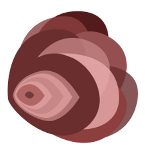 logo.png