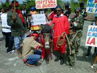 Burro intelectual