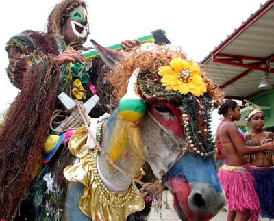 Burro Brujo