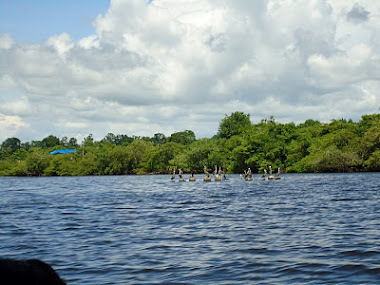 Bahia de Cispata