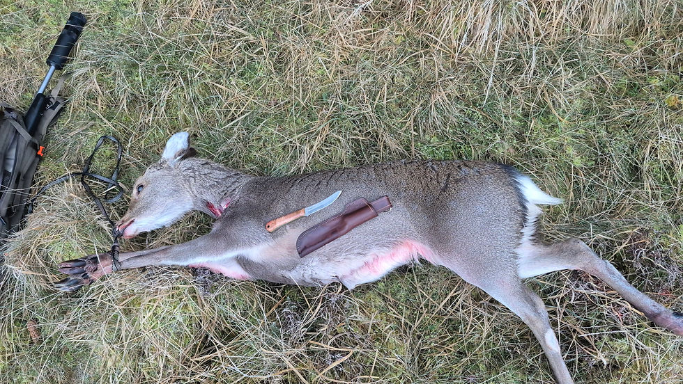 Gralloching Tips | A Practical Guide for UK Deer Stalkers