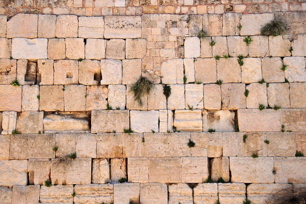 הוראה בישראל (15).png