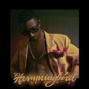 black party - hummingbird.jpeg