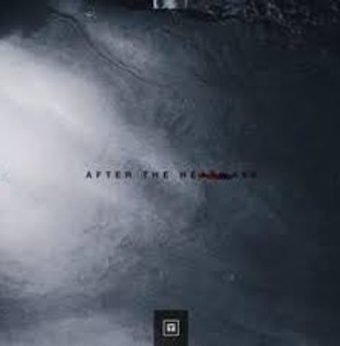 K Forest - After the Heatwave.jpg