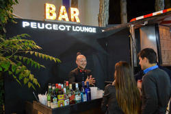 Peugeot Lounge - 2016