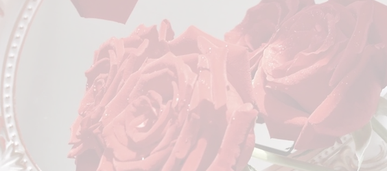 インセルダム インスタ用のコピーのコピー - 2.PNG