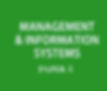 Management and Information Systems