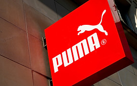 Puma.jpg