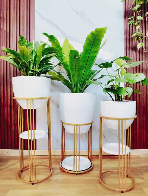 WhatsApp Image 2026-03-11 at 12.05.24 PM.jpeg