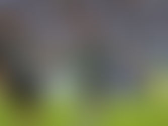 Atlético-MG pode ser Campeão Brasileiro nesta terça-feira sem entrar em campo