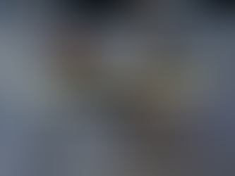 person checking calculator and documents