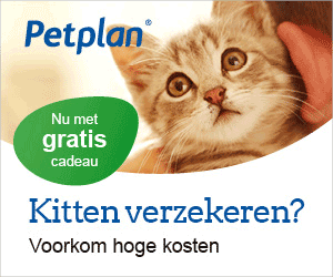 petplan.gif