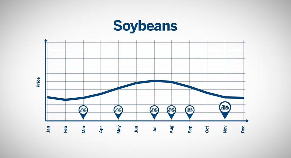 Soybean price seasonality (Source: CME)