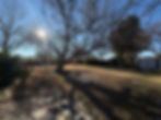 IMG_2078.jpeg