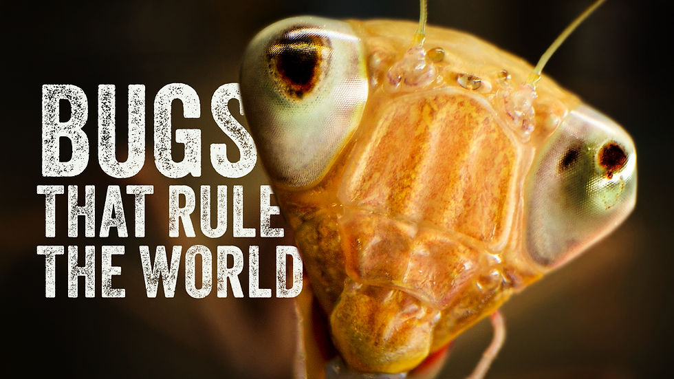 BugsThatRuleTheWorld_Thumbnail_1920x1080_v2_a-1
