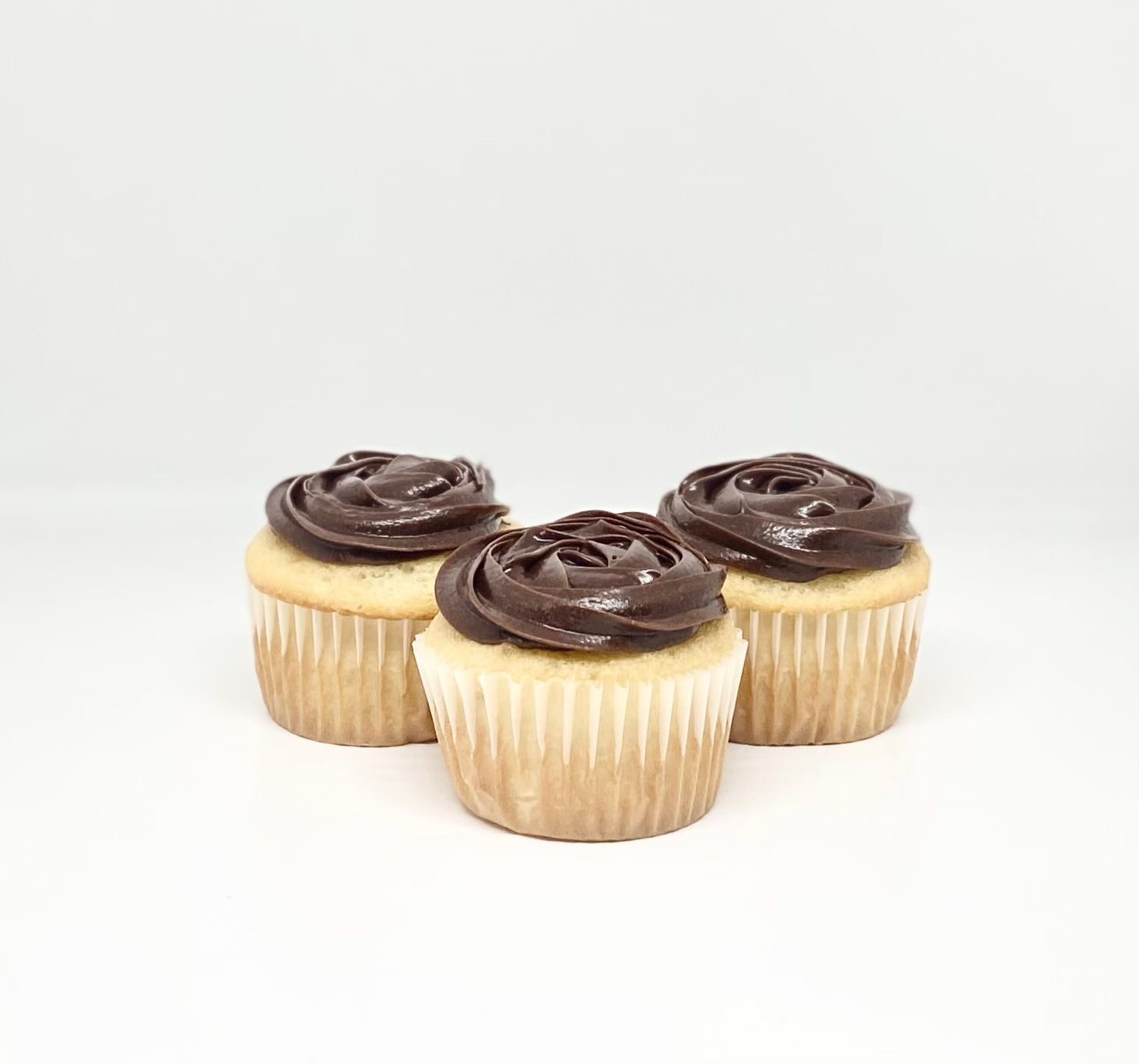 Boston Cream Pie Cupcake (Dozen)