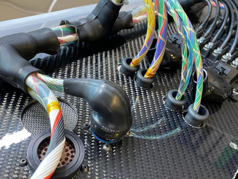 FREE Fueltech Concentric Twist Wiring Reference, Fueltech - The Fairmont