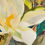 Thumbnail: “Magnolia Collage" 15 x 15 inch   Original Watercolor Mixed Media on Pa