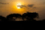 Serengeti sunset