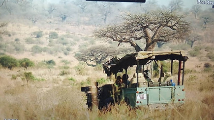 African Wildlife Documentary