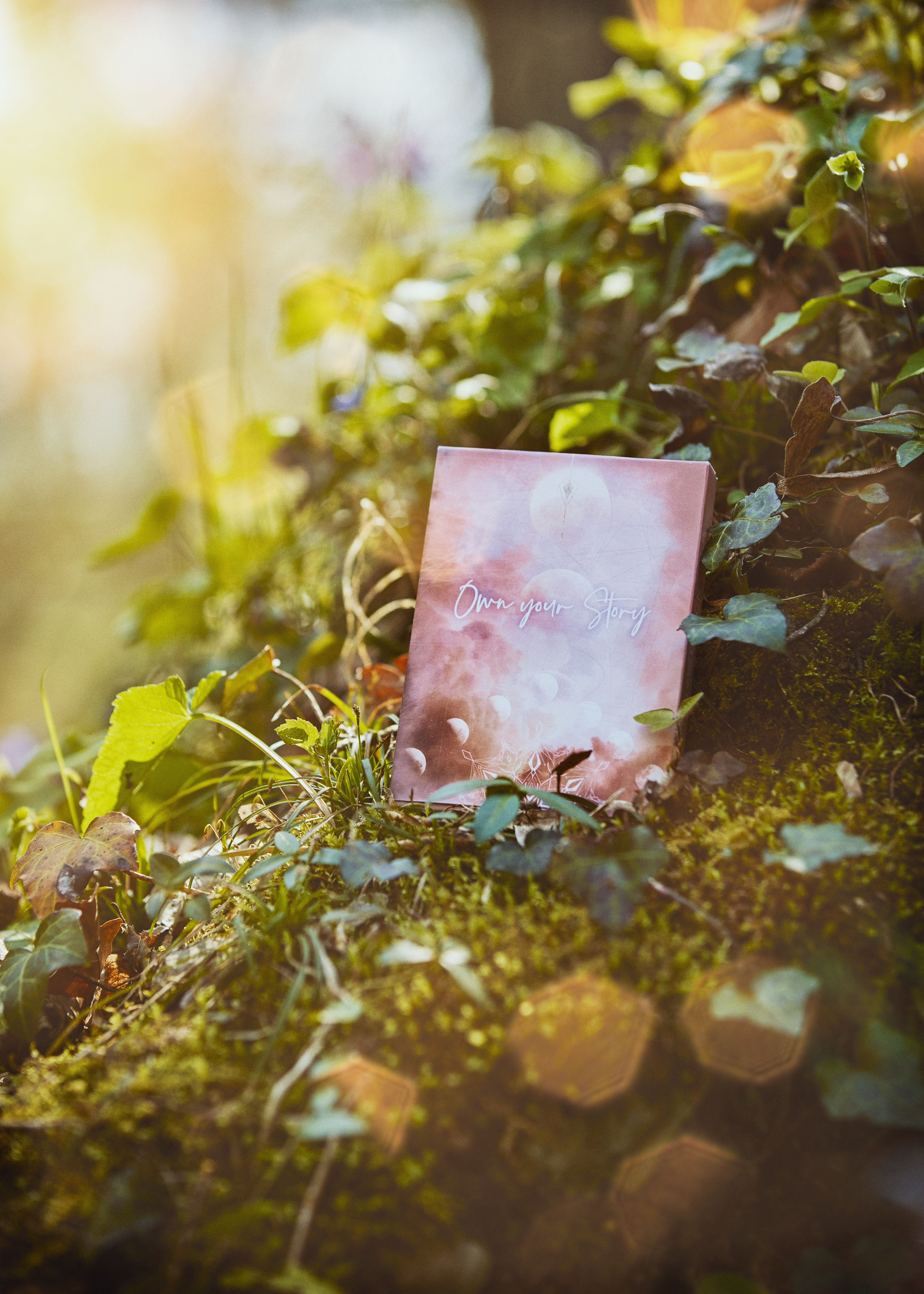 OWN YOUR STORY - digitale Version