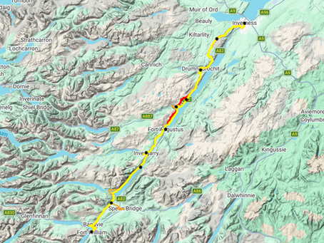 No participation trophies