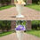 Thumbnail: Classic Urn Planter, 2 Pcs Plastic Indoor or Outdoor Decorative Urn, Tall Pedes
