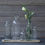 Thumbnail: Woven Paths Vintage Bottle Vases on Wood Tray, 6 Pieces