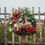 Thumbnail: Novobey Red Truck Christmas Wreath for Front Door, 11.8'' Truck Wreath, Vintage