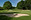 State Amateur Championship